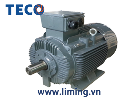 Motor TECO AESV 4P 7.5HP